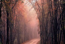 开云体育平台APP-《胜利方程式：揭秘斗志满格团队的决胜基因》