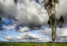 开云体育APP下载-38岁改写规则！詹姆斯三双击穿时空：当传奇成为行走的史诗