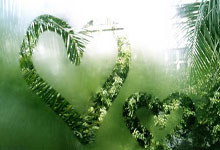 开云体育在线-航体浴血捍尊严！建业战平七冠王中原铁骑积分榜逆流而上