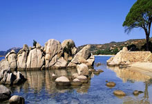 开云体育APP下载-布宜诺斯艾利斯独立防线协作提升，力求限制攻击