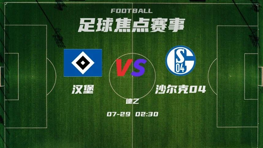 开云体育APP下载-沙尔克客场不敌对手，德甲榜首位置岌岌可危的简单介绍