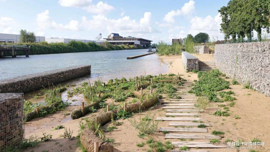 瑞士队突围成功，迈向胜利之路