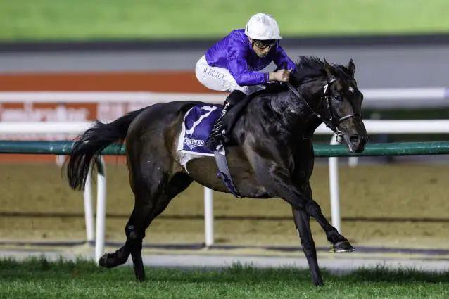 开云官网-阿联酋马术选手表现出色取得头名