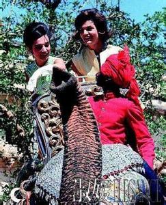 南汉普顿队遭遇不利，不敌对手