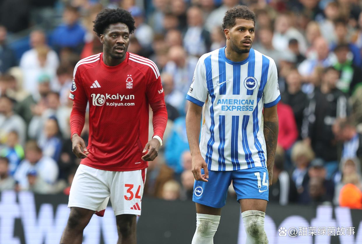 关于布莱顿主场大胜莱斯特城，排名攀升的信息