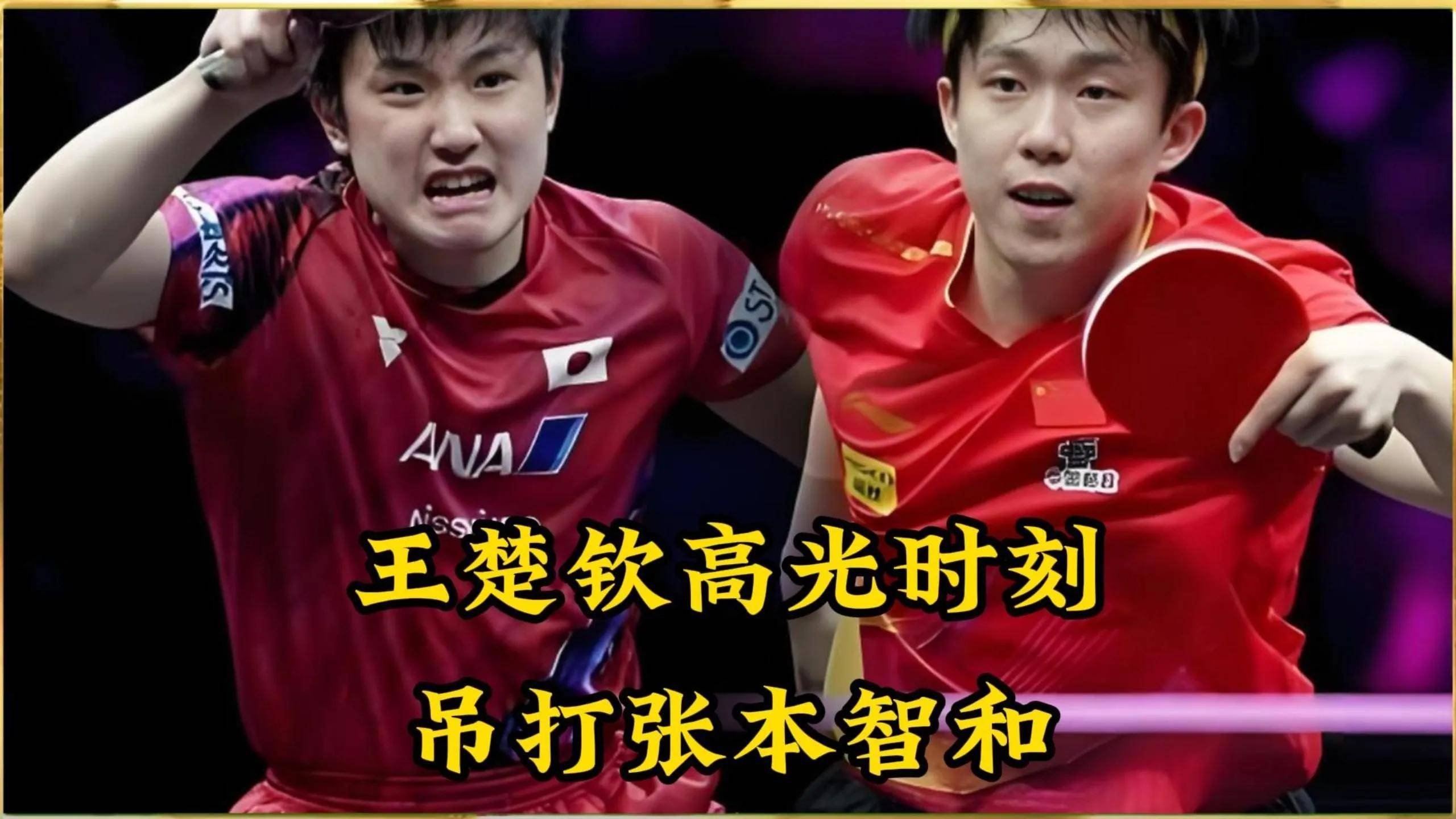 开云体育APP下载-波兰队完胜中国队，张本智和带队取胜的简单介绍